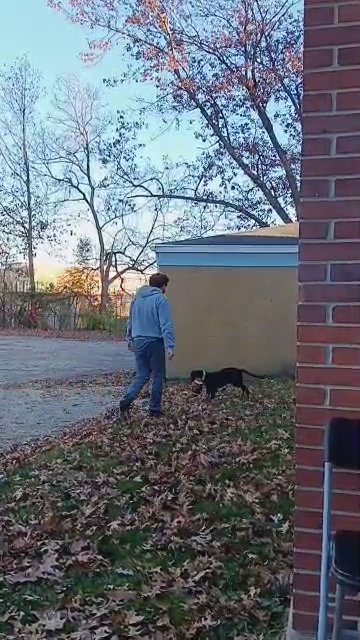 5 month old puppy in Cincinnati, Ohio