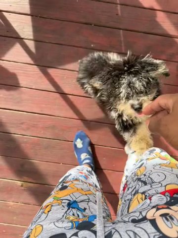 Hyper Lovey in Raleigh, North Carolina