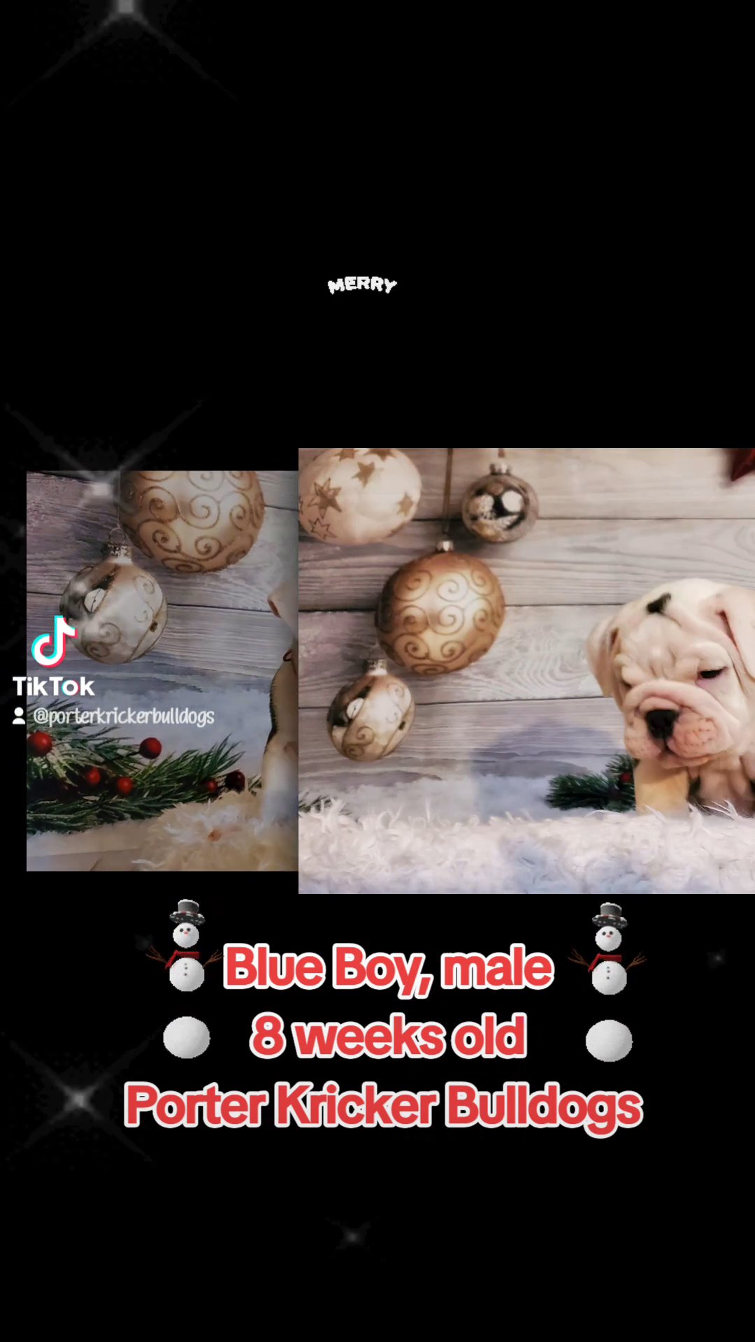 Blue Boy in Kansas City, Missouri