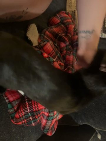 Kame in Denver, Colorado