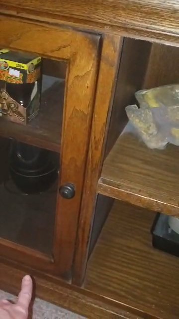 Male snake still available in Apache Junction, Arizona