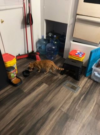 Emergency Please Help in Huntington, West Virginia
