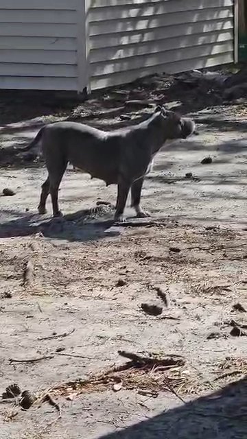 Nyla in Slidell, Louisiana