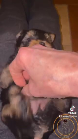 Cindy Lou Who in Lawton, Oklahoma