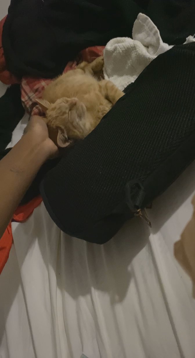 Moving to a new home doesn’t allow pets in Arizona City, Arizona