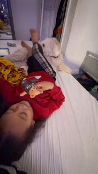 2 Year Old Sheepadoodle - Kyrie in Silver Spring, Maryland