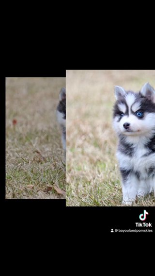 Jasper-Pomsky in Baton Rouge, Louisiana