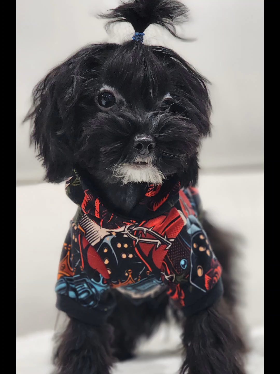 Mario in Chicago, Illinois