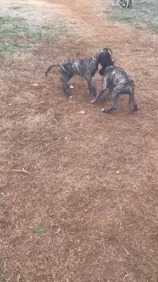 RECESS!!! in Spartanburg, South Carolina