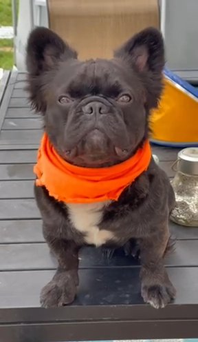 Posing By The Pool Side in Providence, Rhode Island
