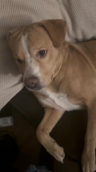 Luie in Anchorage, Alaska