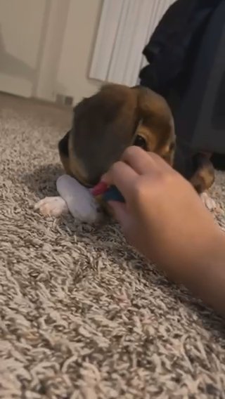 Help this Find A New Home? in Southfield, Michigan
