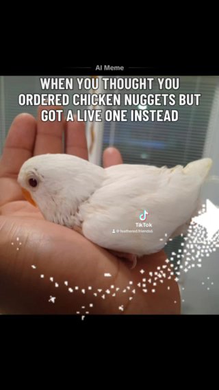 Rare Baby Albino Lovebirds For Sale in Naples, Florida