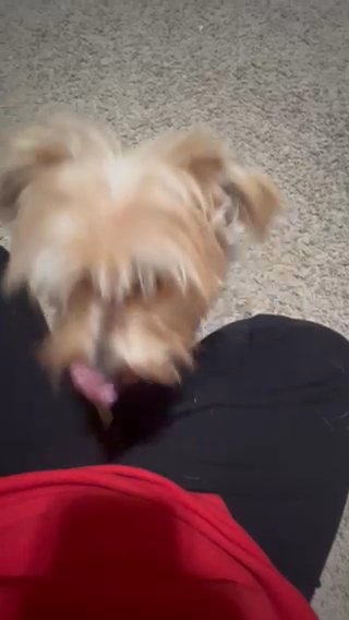 Meet Miguel in Pensacola, Florida