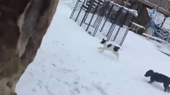 babies having a snow day in Huntington, West Virginia