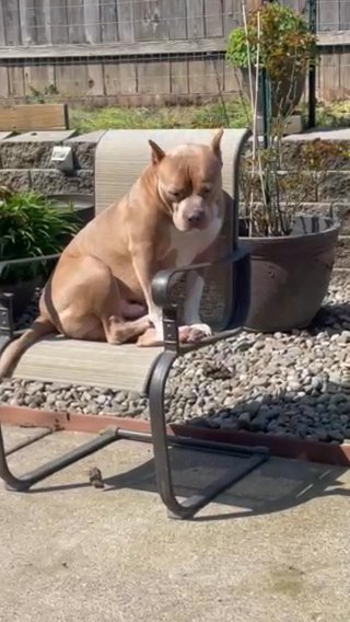 King Zeus in Damascus, Oregon
