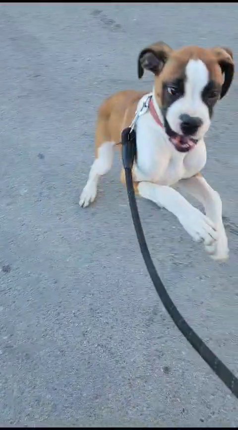 Kane in Provo, Utah