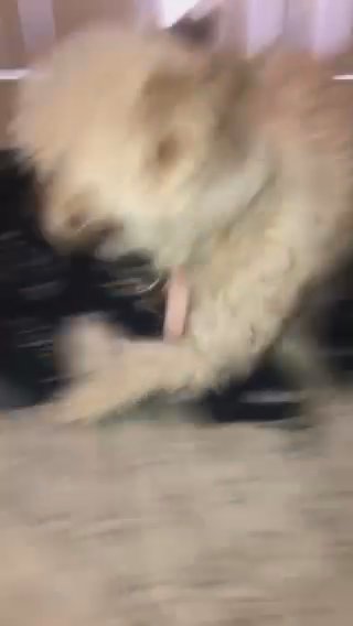 Luna in Phoenix, Arizona
