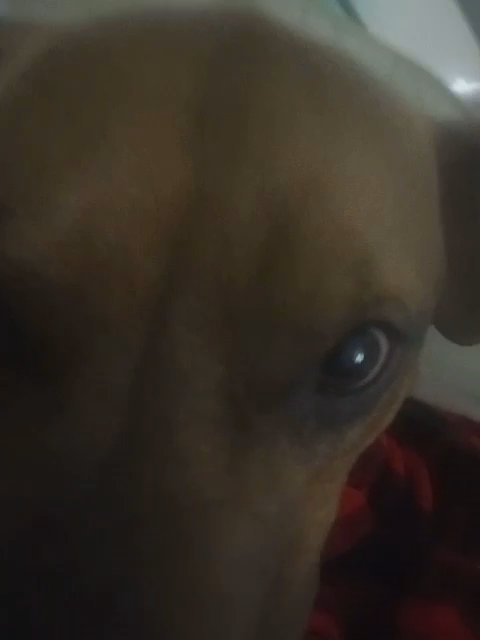Tony in Shawnee, Oklahoma