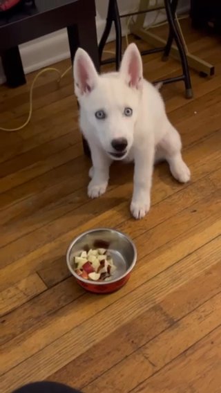 Athena in North Bergen, New Jersey