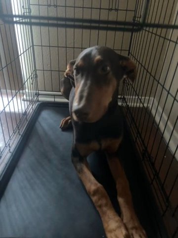 Looking For New Home in Temple, Texas