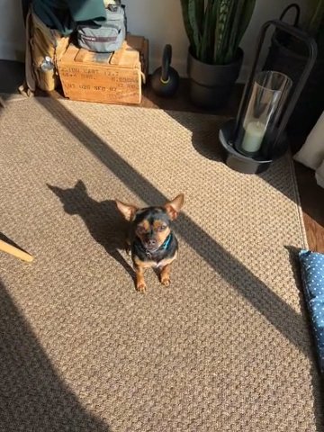 Tina in Pittsburgh, Pennsylvania