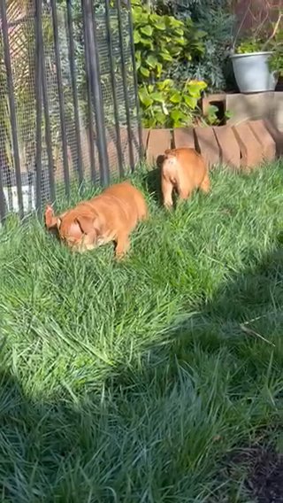 Canela ?? in Riverside, California