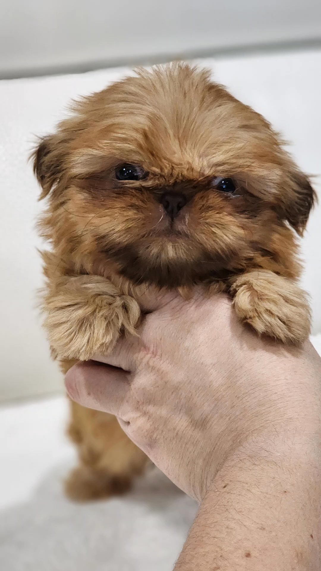 Nutmeg in Chicago, Illinois