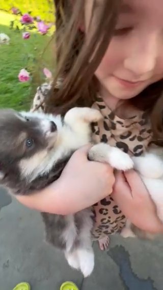 Blue and Raspberry in Los Angeles, California