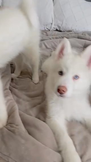 Cielo in San Diego, California