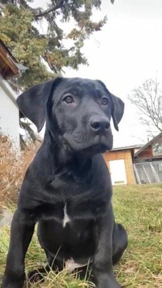 Hades in La Grande, Oregon