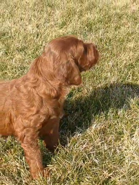 Jerry in Goshen, Indiana