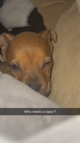Baby Needs A Home in Shepherdsville, Kentucky