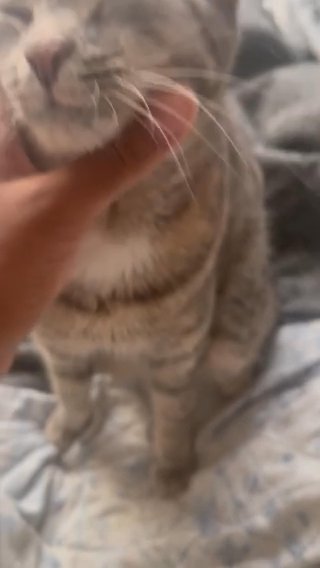 this is sweet CHEEKS <3 in Augusta, Georgia