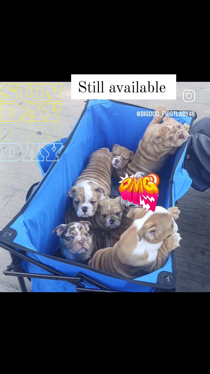 rehoming in Riverside, California