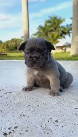 Marcus in Fort Lauderdale, Florida