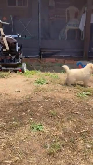 Playtime!! in Rancho San Diego, California