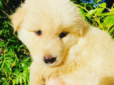 Sweet Girl in Rancho San Diego, California