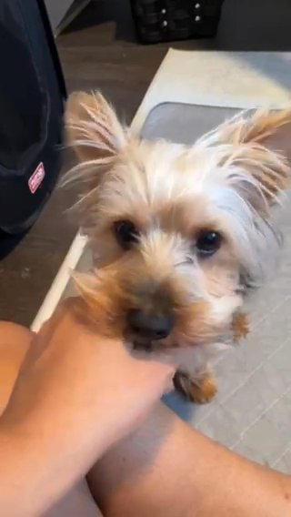 Myles in Waldorf, Maryland