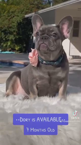 Dory in Fort Lauderdale, Florida