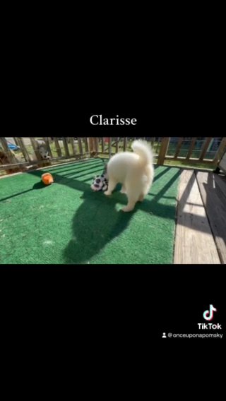 Clarisse in Dublin, Georgia