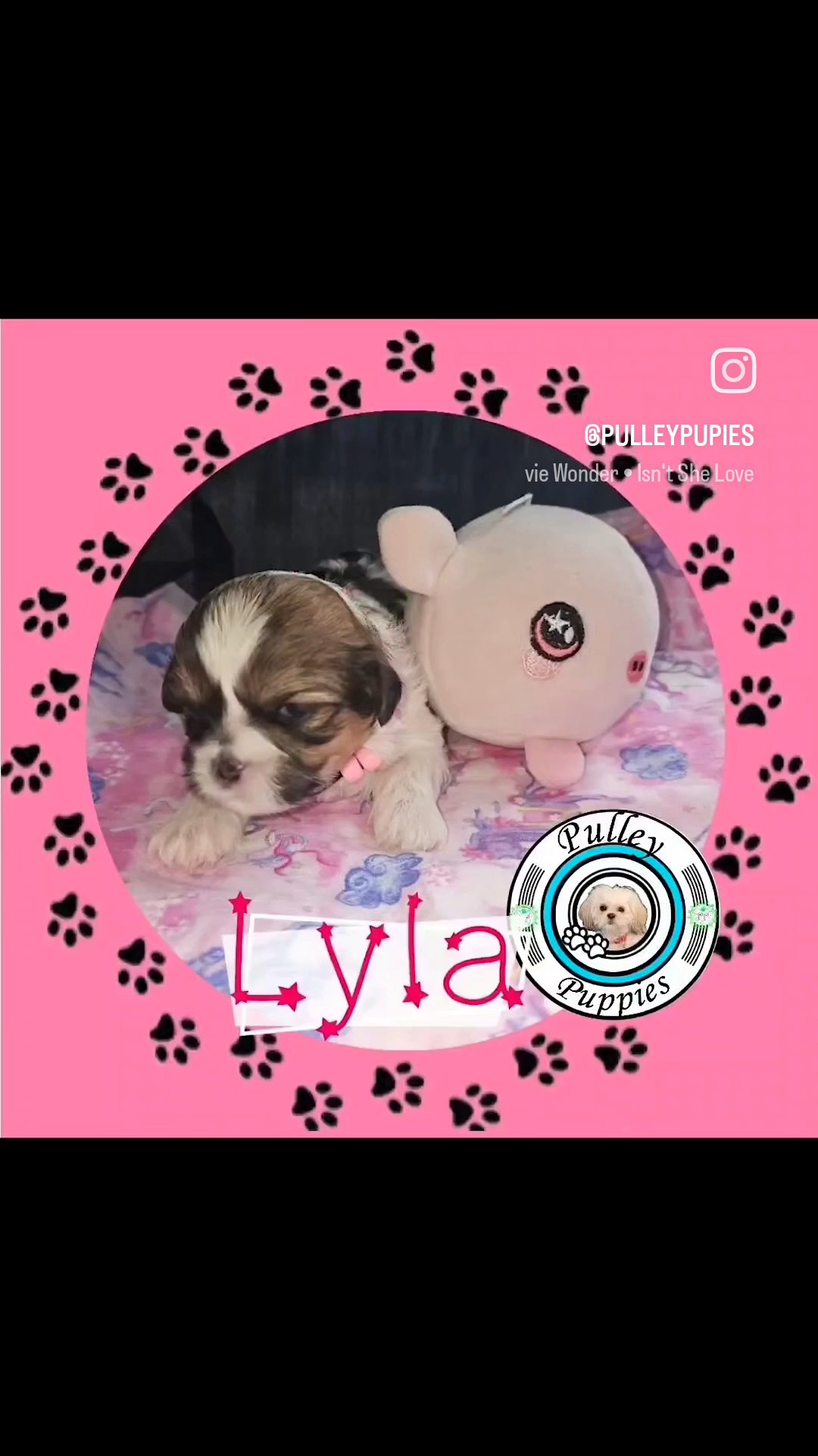 Lyla in Tooele, Utah
