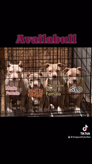 Three Females Availabull in Milwaukee, Wisconsin