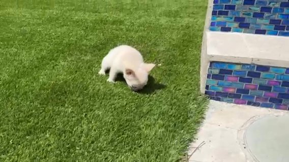 Mari in West Palm Beach, Florida