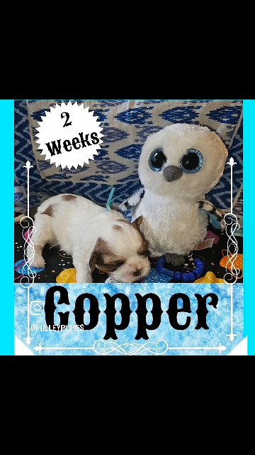 Copper in Tooele, Utah