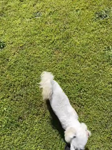 Junior in Columbus, Georgia