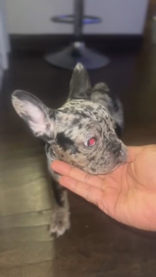 Looking For Her New Home in Milwaukee, Wisconsin