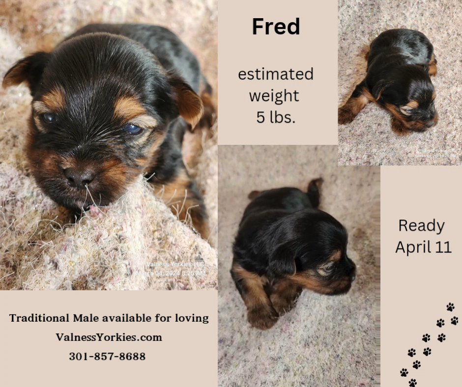 Fred in Washington, District of Columbia