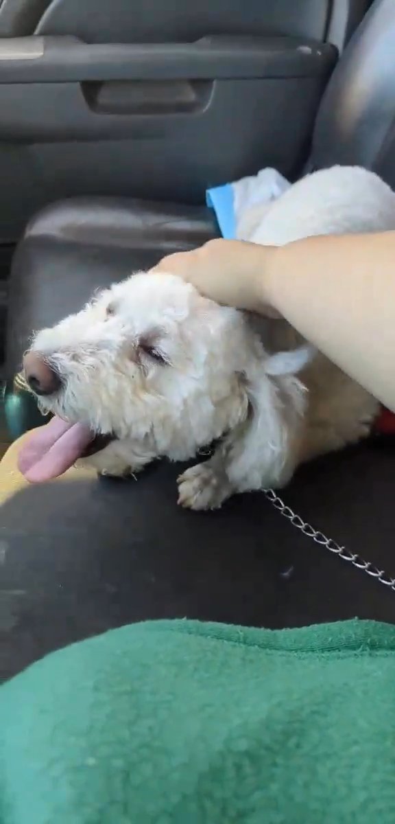 bubbah in Arlington, Texas