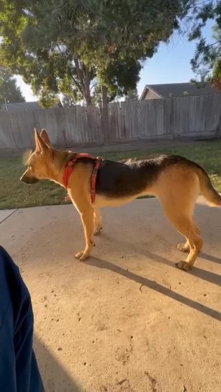 My Name Is Molly in Fresno, California